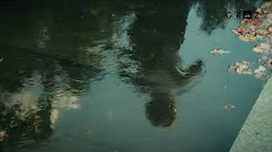 Foto der Preisträger:in Hannah K Bründl
