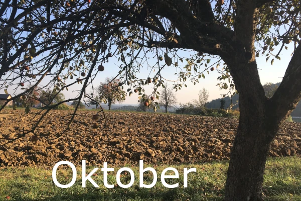 <span class="sc-64">Mo Di Mi Do Fr Sa So</span><br> <span class="sc-65">00  </span><span class="sc-65">00  </span><span class="sc-65">00  </span><span class="sc-66">01 </span><span class="sc-66">02 </span><span class="sc-66">03 </span><span class="sc-66">04 </span><br> <span class="sc-66">05 </span><a title="zur Tagesübersicht" href="/kalender/tag/20261006">06</a> <span class="sc-66">07 </span><span class="sc-66">08 </span><a title="zur Tagesübersicht" href="/kalender/tag/20261009">09</a> <span class="sc-66">10 </span><span class="sc-66">11 </span><br> <span class="sc-66">12 </span><span class="sc-66">13 </span><span class="sc-66">14 </span><span class="sc-66">15 </span><span class="sc-66">16 </span><span class="sc-66">17 </span><span class="sc-66">18 </span><br> <span class="sc-66">19 </span><span class="sc-66">20 </span><span class="sc-66">21 </span><span class="sc-66">22 </span><span class="sc-66">23 </span><span class="sc-66">24 </span><span class="sc-66">25 </span><br> <span class="sc-66">26 </span><span class="sc-66">27 </span><span class="sc-66">28 </span><span class="sc-66">29 </span><a title="zur Tagesübersicht" href="/kalender/tag/20261030">30</a> <span class="sc-66">31 </span>