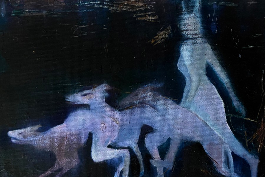 Foto: Susanna Katter Oberdeck_Talesofmydreams