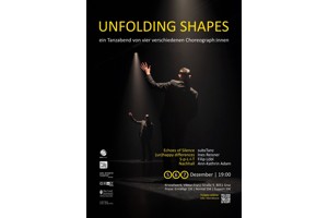Unfolding Shapes #3