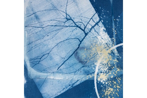 FOTO GRAFIK Maria Stachel