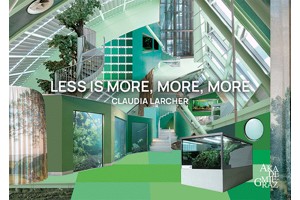 LESS IS MORE, MORE, MORE - Ausstellung Claudia Larcher