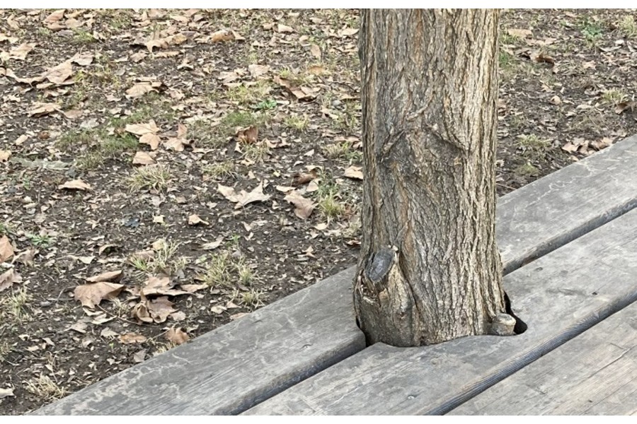 Foto: Oral Göktaş Detail, Salon Stolz