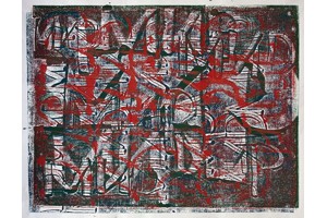 Graphemische Ein- und Auslassungen von Birgit Fedl-Dohr