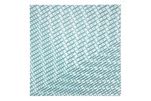 BARBARA HÖLLER - „Präsenz der Linien“