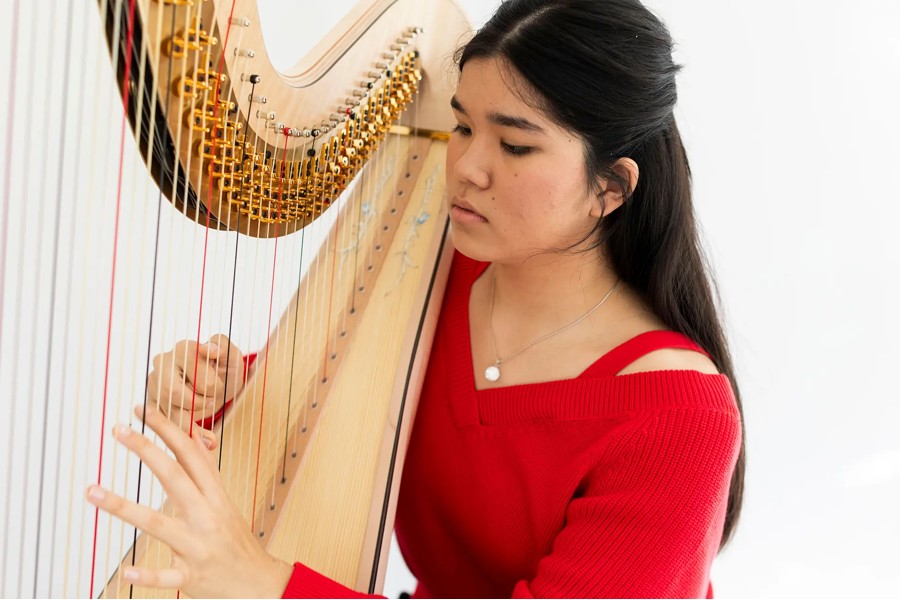 Sujet der Veranstaltung