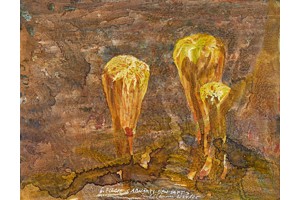 PAUL RENNER (1957 in Bregenz)