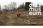 Unter der Grasnarbe