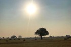 Decolonising African Soil?