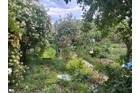 Art & Roses Programm von Fr 5. - So 7. Juni 2026