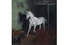 Durée / Echtzeit  Baurjan Aralov STAGES