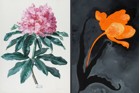 Rundgang zu den Ausstellungen „Analytische Schönheit" und "Markus Huemer"