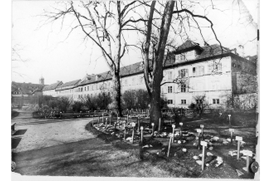 Botanischer Garten am Joanneum