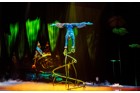 Cirque du Soleil OVO