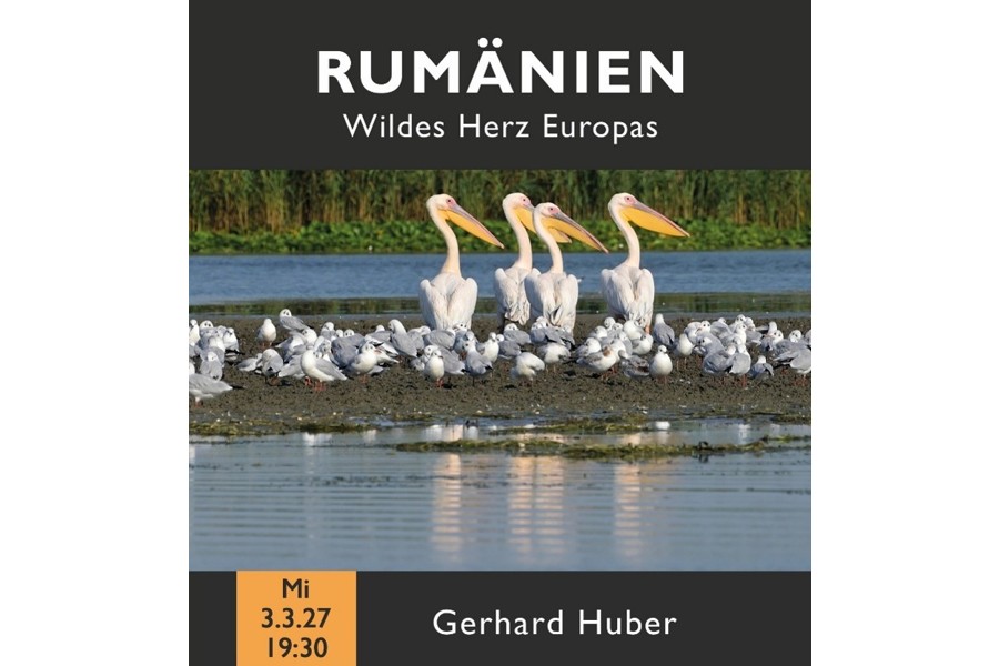 Eventplakat