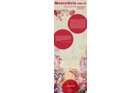 Meerschein-Konzerte im Minoritensaal